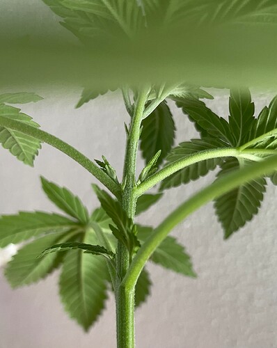 Growreport Bild 25