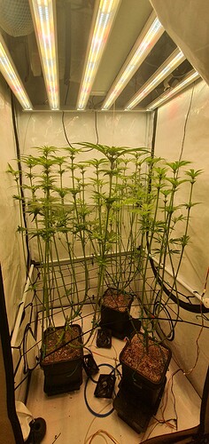 Growreport Bild 2