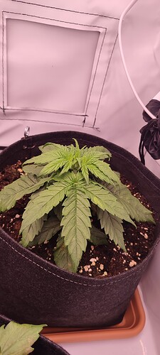 Growreport Bild 14