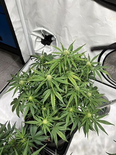 Growreport Bild 10