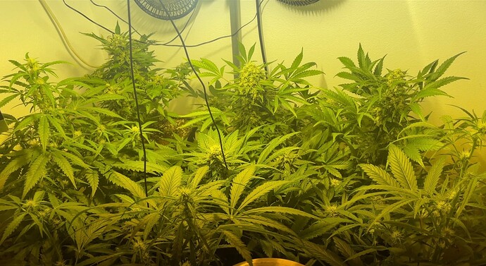 Growreport Bild 22