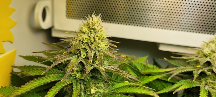 Growreport Bild 2
