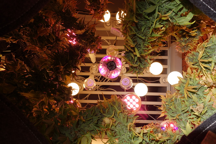 Growreport Bild 14