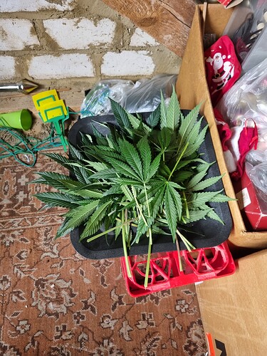 Growreport Bild 10