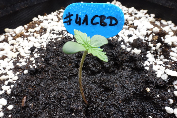 Growreport Bild 25