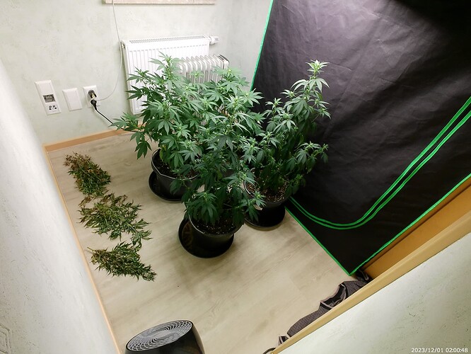 Growreport Bild 5