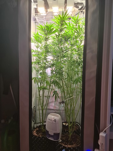 Growreport Bild 1