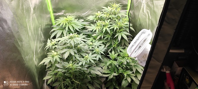 Growreport Bild 1