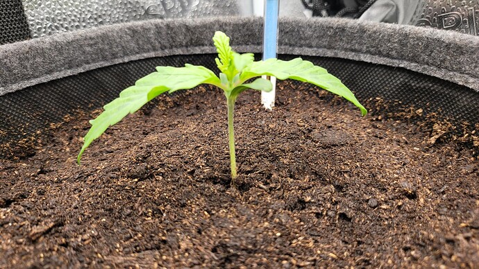 Growreport Bild 116