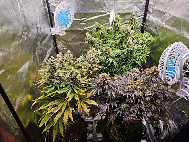 Growreport Bild 19
