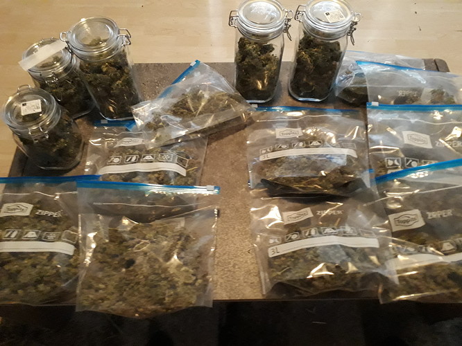 Growreport Bild 6