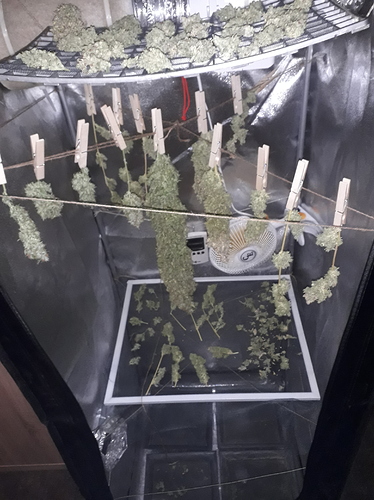 Growreport Bild 2