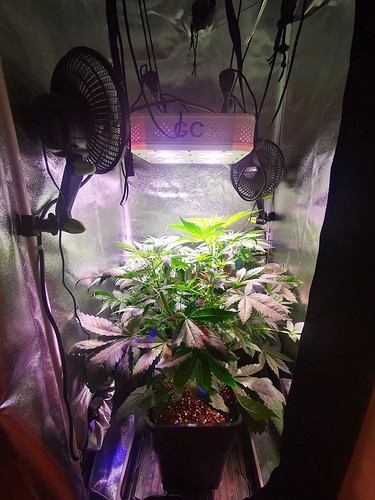 Growreport Bild 17