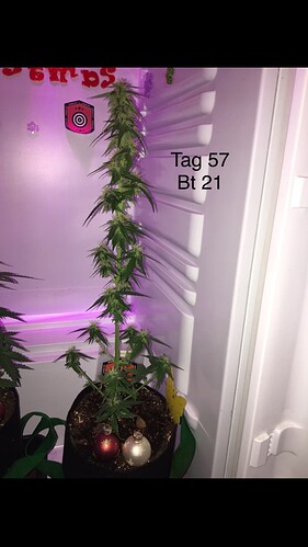 Growreport Bild 10