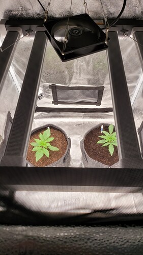 Growreport Bild 9