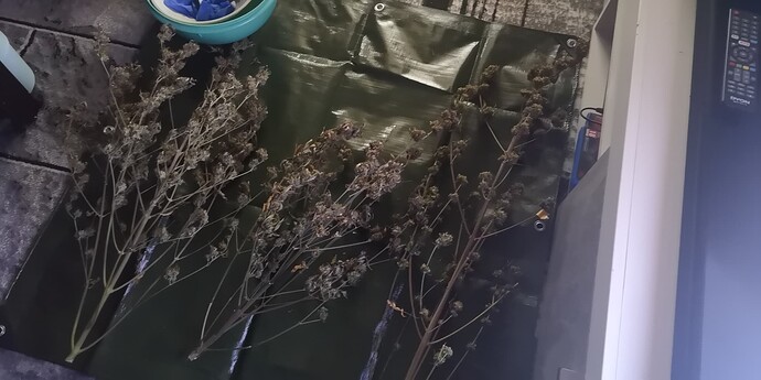 Growreport Bild 1