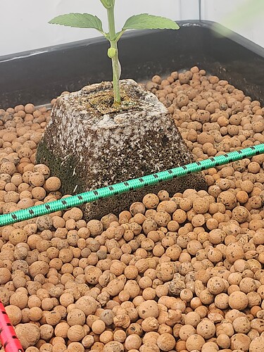 Growreport Bild 11