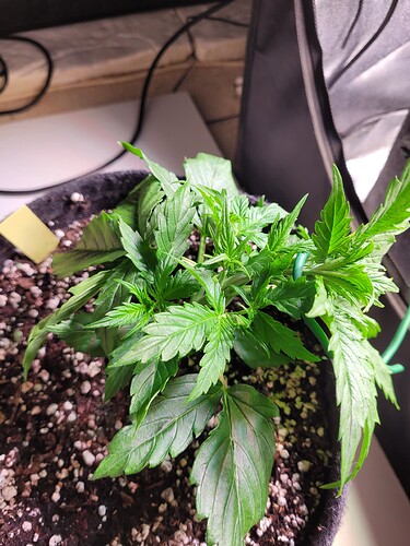 Growreport Bild 11