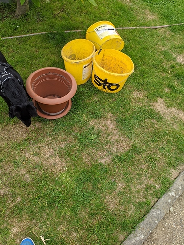 Growreport Bild 2