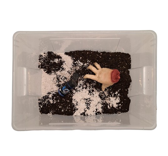 Screenshot_20231124_132035