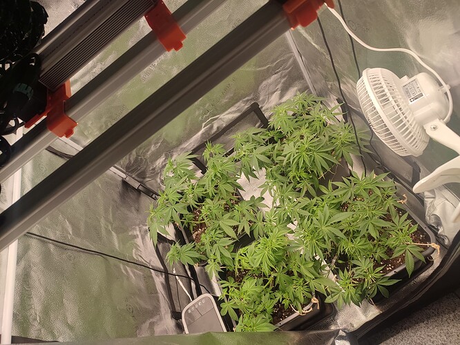 Growreport Bild 6