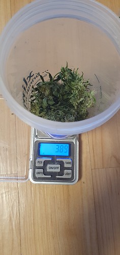 Growreport Bild 6