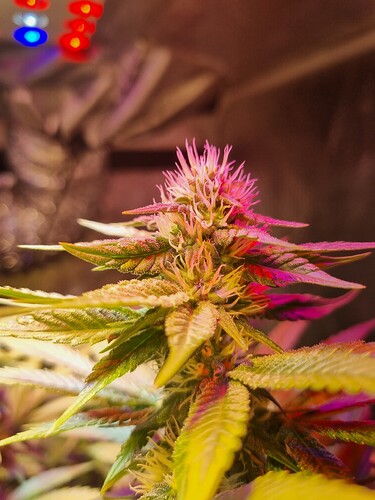 Growreport Bild 18