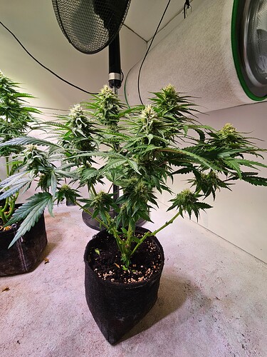 Growreport Bild 5