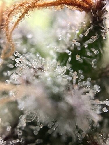 Growreport Bild 47