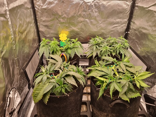 Growreport Bild 18