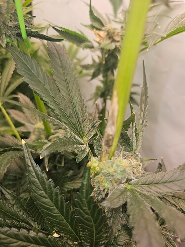 Growreport Bild 19