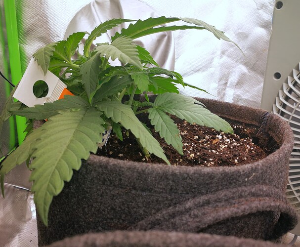 Growreport Bild 18