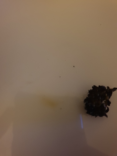 20191018_213743