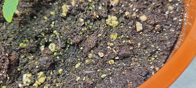 Growreport Bild 2