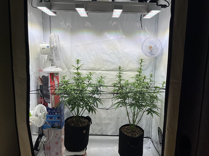 Growreport Bild 8