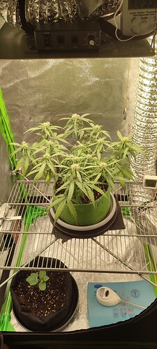 IMG_20230830_190727