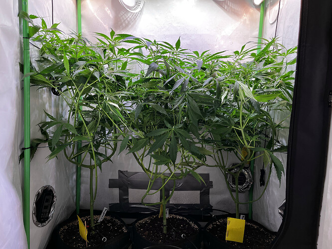 Growreport Bild 11