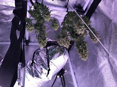 Growreport Bild 11