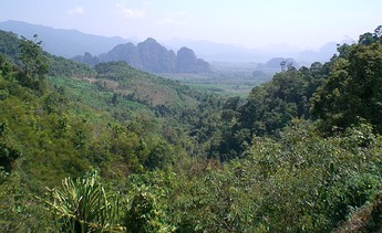 CIMG0272