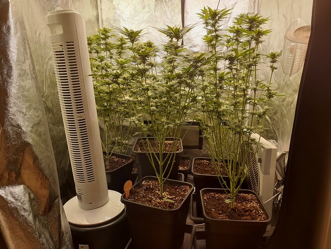 Growreport Bild 1