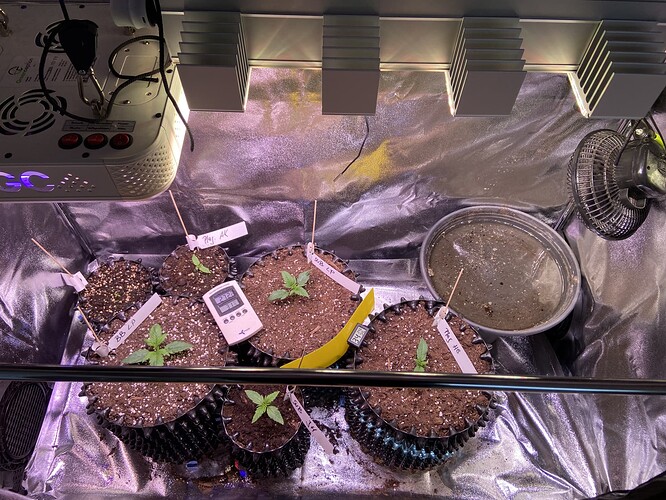 Growreport Bild 28