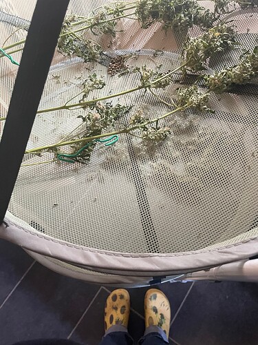 Growreport Bild 12
