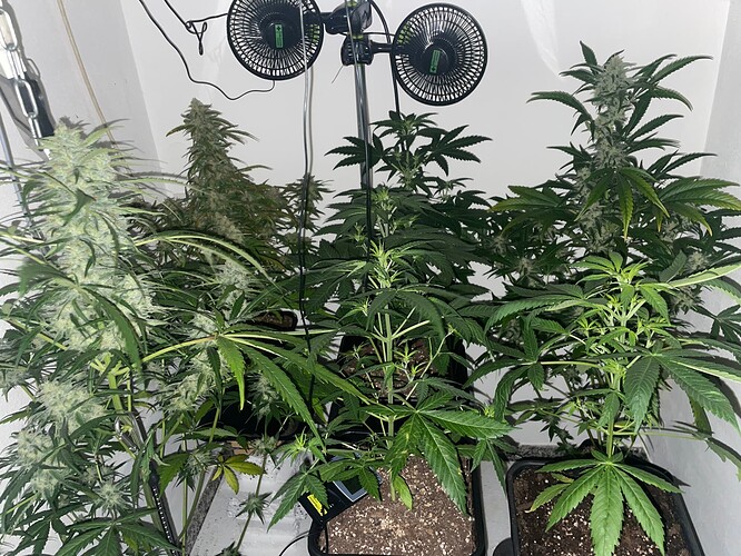 Growreport Bild 7