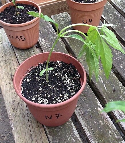 Growreport Bild 25