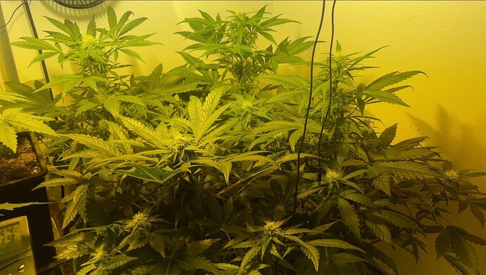Growreport Bild 26