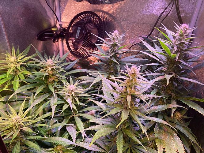 Growreport Bild 20