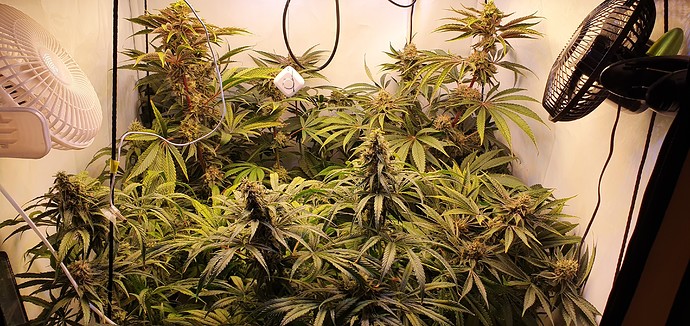 Growreport Bild 10