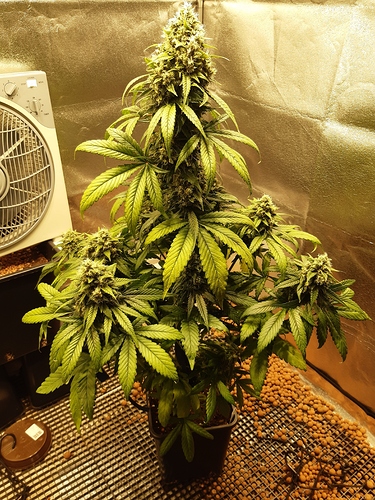 20191015_200526_cleaned