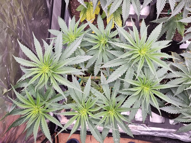 Growreport Bild 17