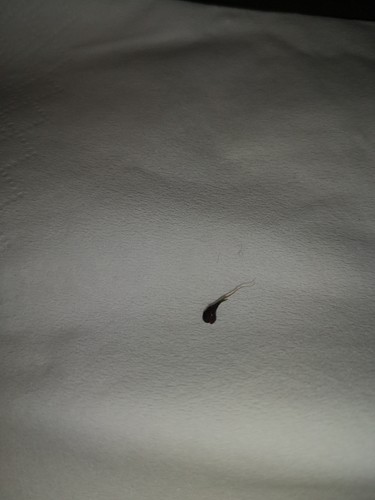 Growreport Bild 6